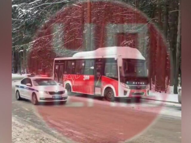    Фото: телеграм-канал "ЧП Пермь"