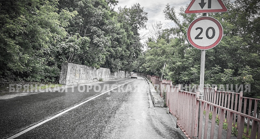    Фото: пресс-служба Брянской городской администрации