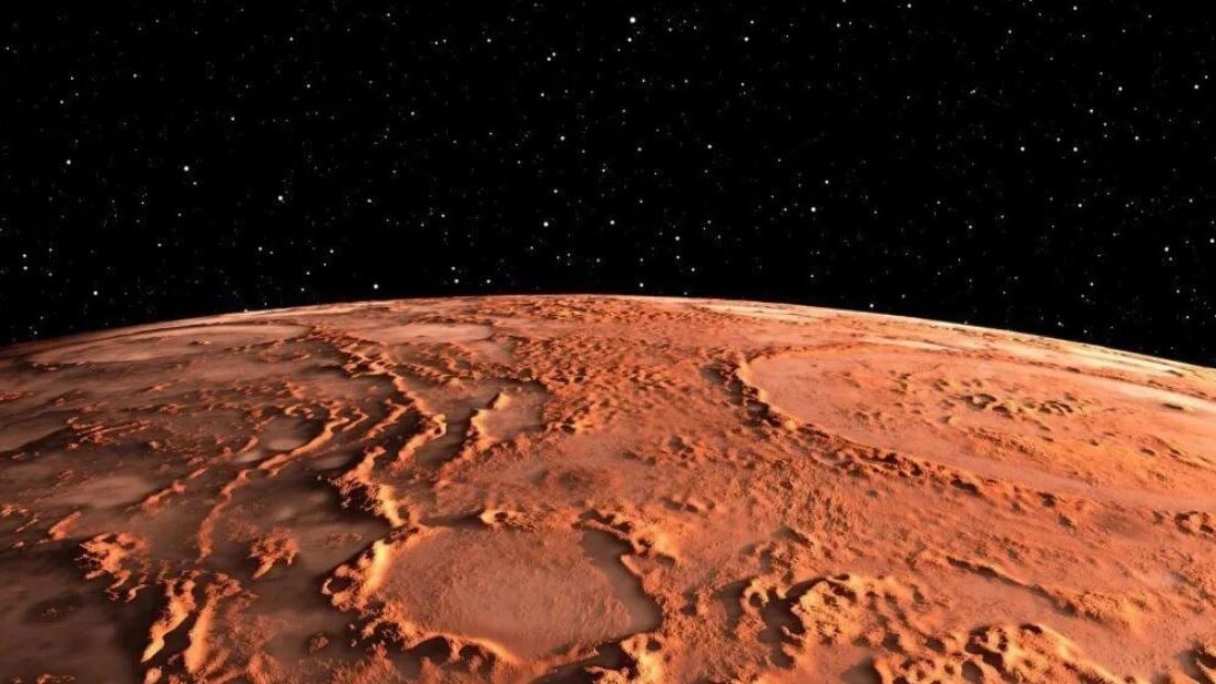    Фото: Jurik Peter/Shutterstock/Fotodom