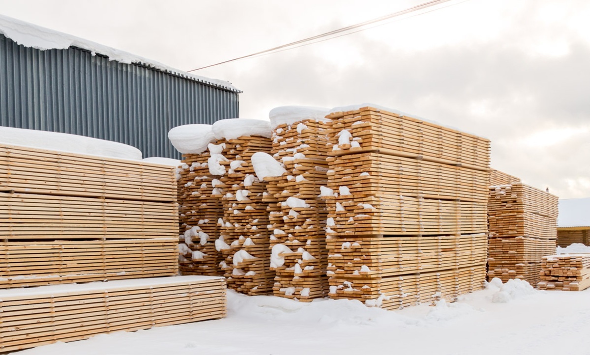 Фото: пресс-служба Уральского межрегионального управления Россельхознадзора,  📷
