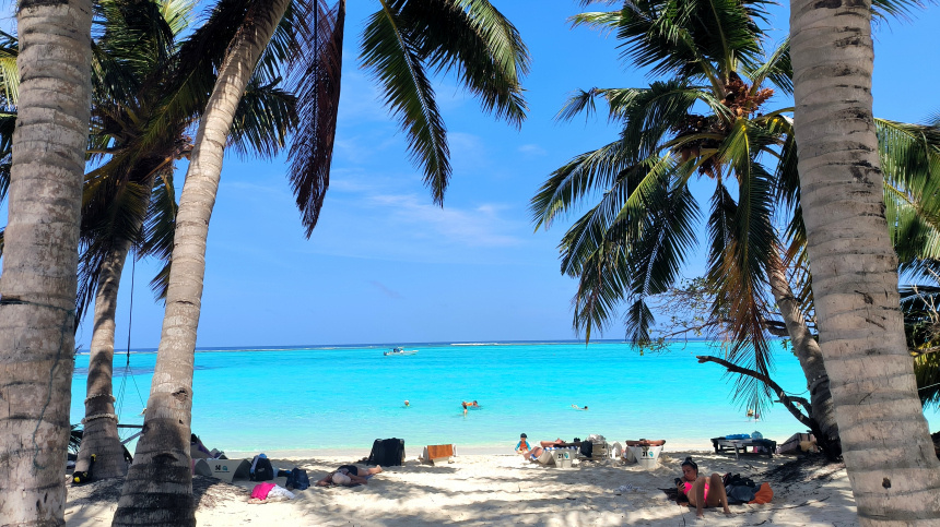    Фото: www.globallookpress.com/Maksim Konstantinov