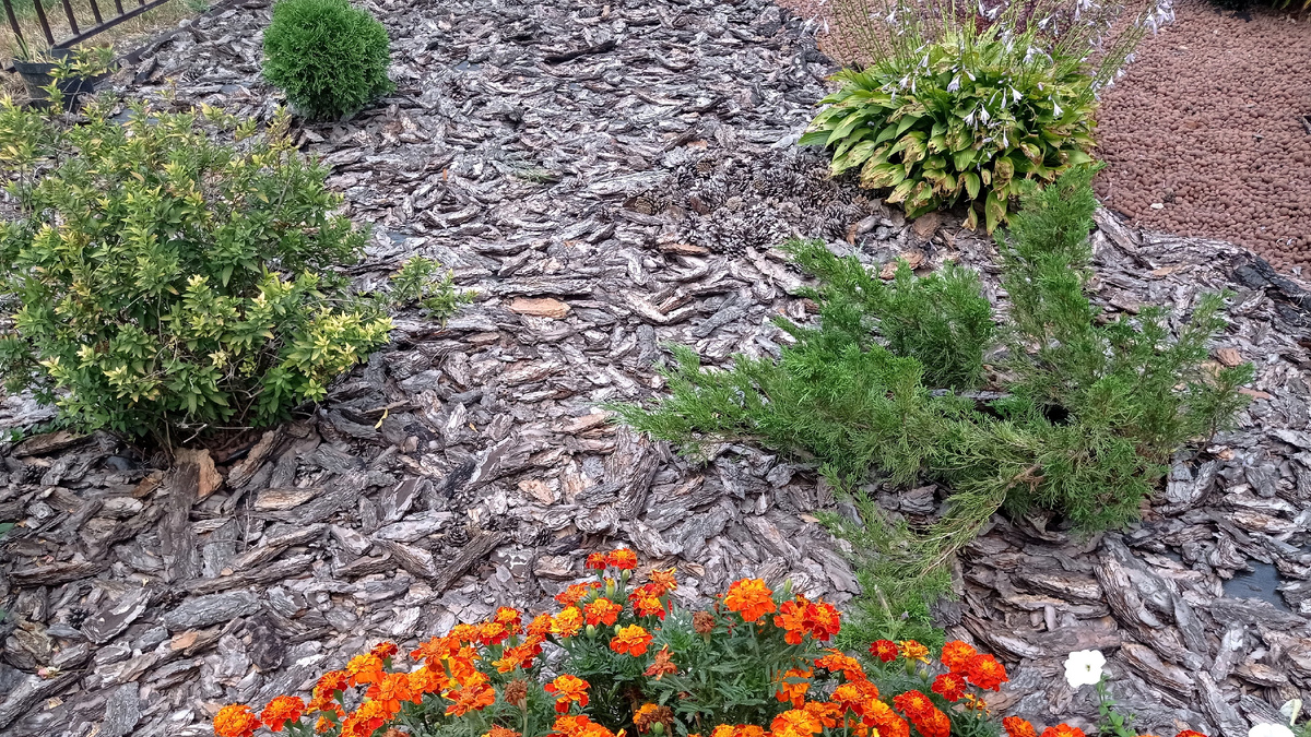 Мульчирование растений