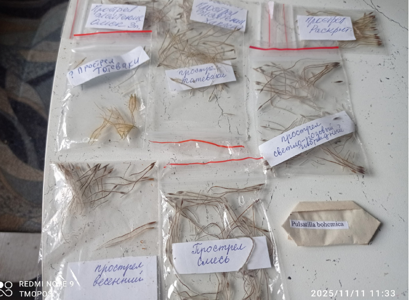 мои будущие новички