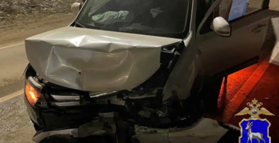    Фото: ГУ МВД по Самарской области