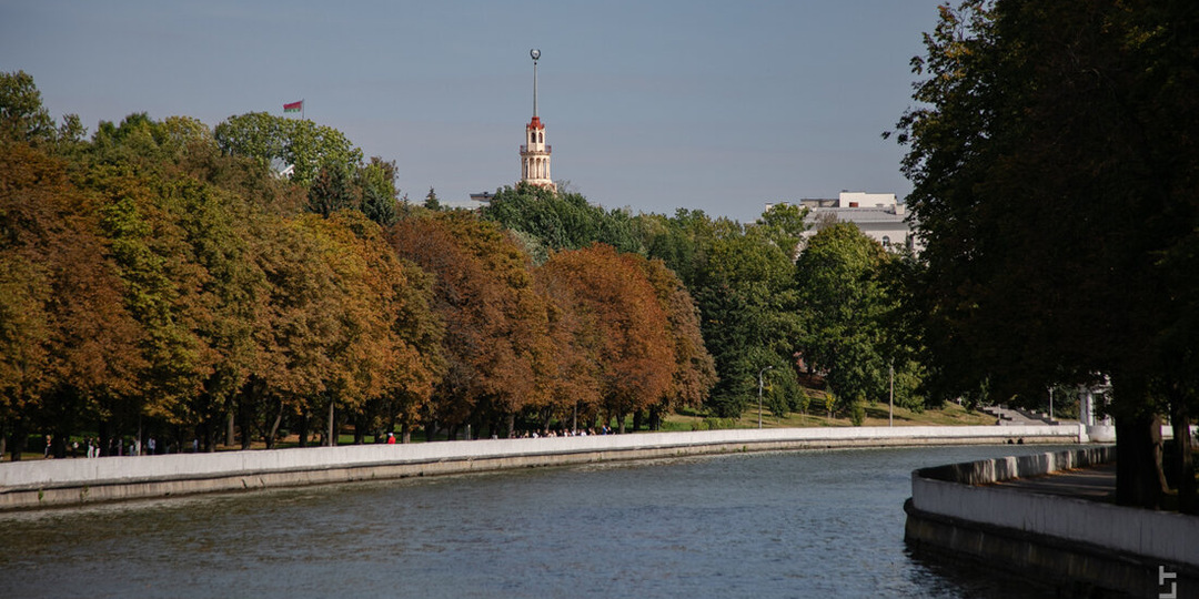 В Минске больше не будут высаживать березы, каштаны и тополя. Почему?