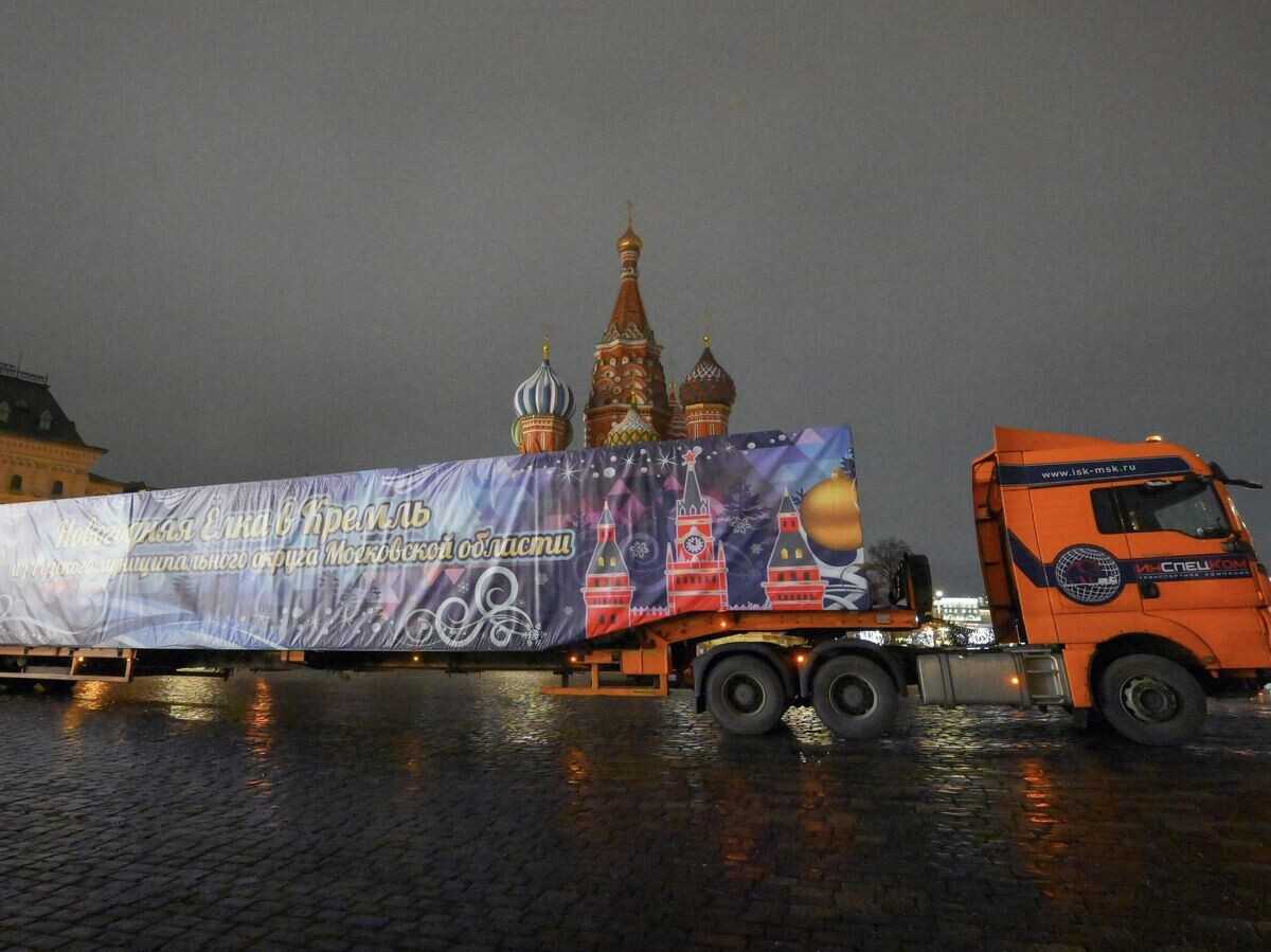    Встреча Главной новогодней елки страны на Красной площади | © РИА Новости / Пелагия Тихонова