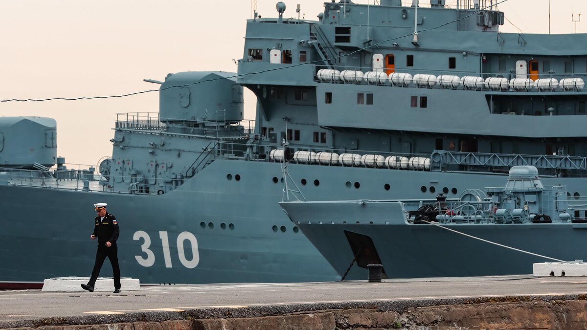    Фото: Roman Naumov/globallookpress.com