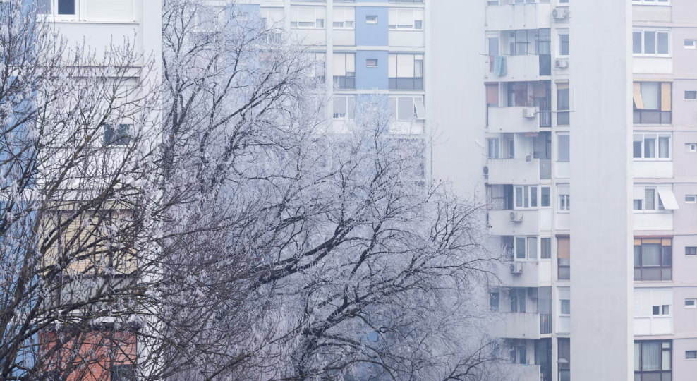 Рынок в тумане: как может измениться стоимость пластиковых окон в 2026 году?