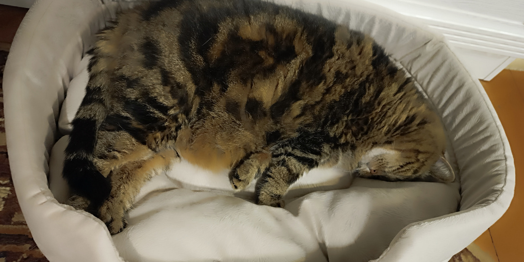 Продолжение выходных, подарки близким, ничегонеделание.