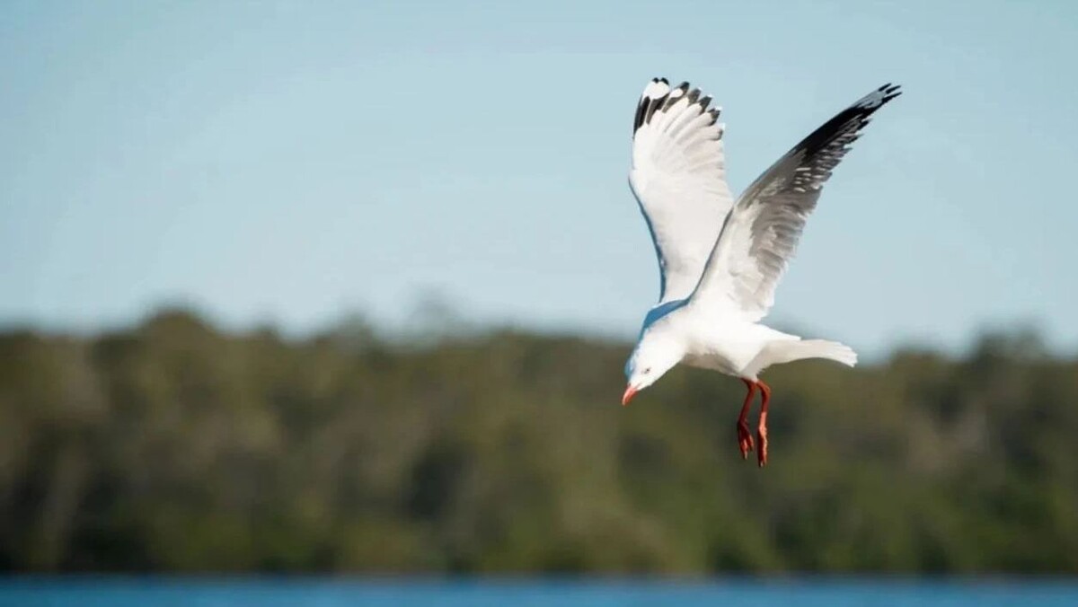    Фото: Always Joy Photography/shutterstock.com