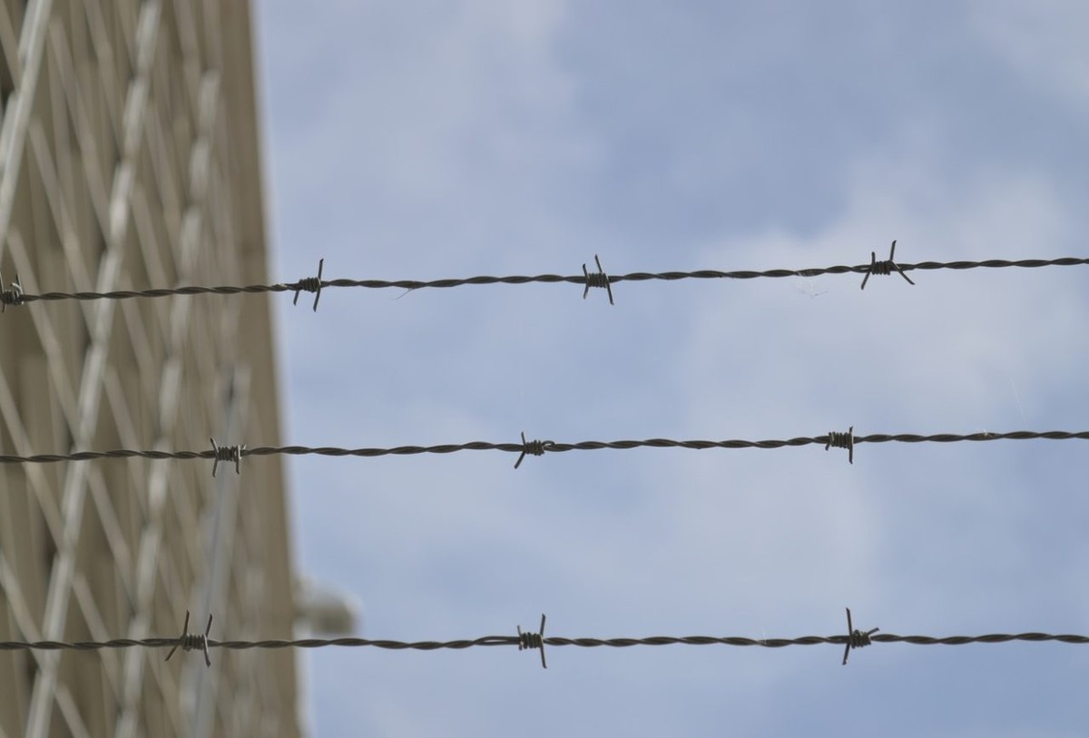     Фото: pxhere.com