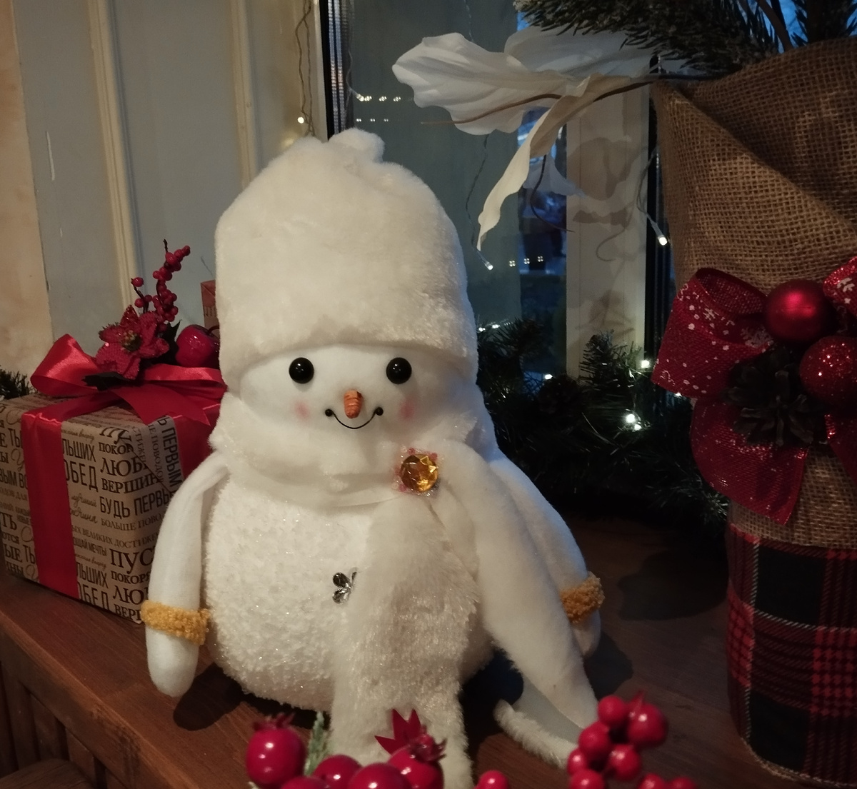 Всем декабрьский привет. Улыбнитесь! Фото автора. ЗДЕСЬ и далее тоже.