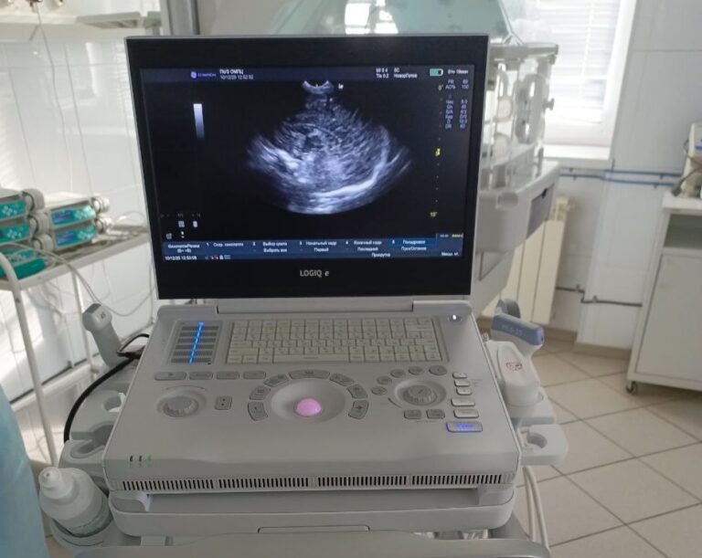    В Орский перинатальный центр поступил современный передвижной аппарат УЗИ Мария Чалкина