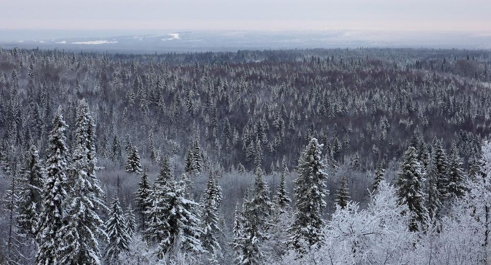    Elena Mayorova/Global Look Press / www.globallookpress.com