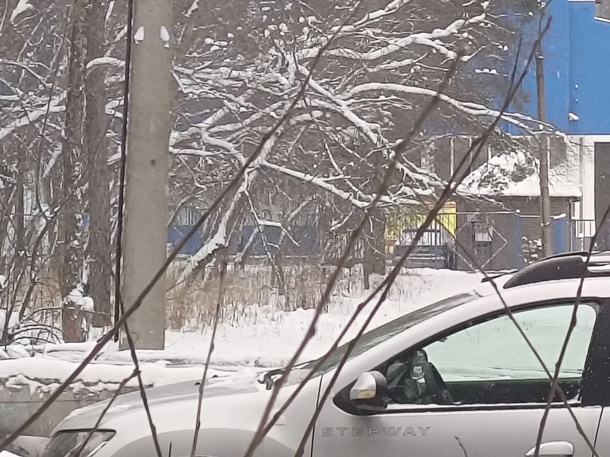 Сейчас место ЧП оцеплено: на месте трагедии работают следователи.  Фото: Дмитрий Овчинников