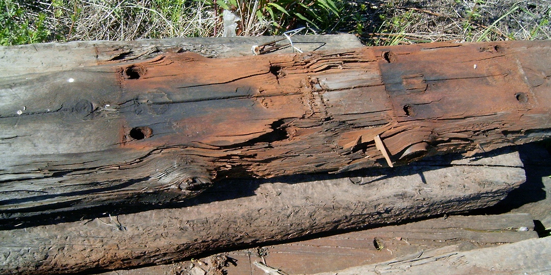 Почему столбы гниют за 3 года, а у плотников стоят по 20 лет: ошибка, о которой знают только старые мастера