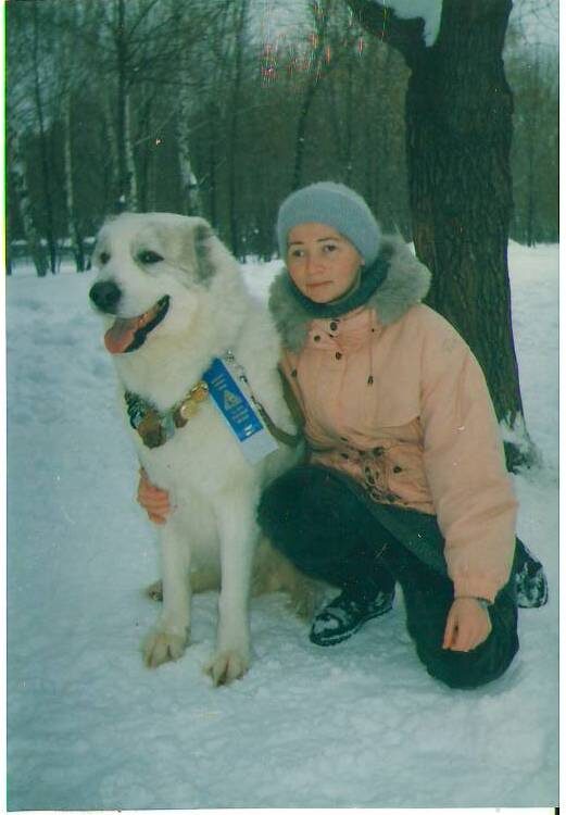Здесь мы оба молоденькие. Барсик очень красивый пес, с заметным недостатком: подрезана губа, не хватает объема морды, при чисто алабайской "медвежьей" голове лицевая часть не дотягивает до кубической формы.
