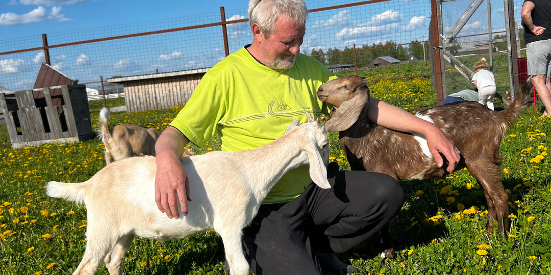 Возраст покрытия козы. Когда лучше? Имеет ли значение?