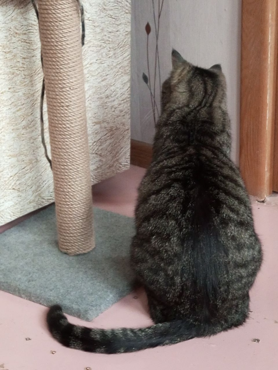 "Я буду ждать тебя возле пальмы трёх дорог...")