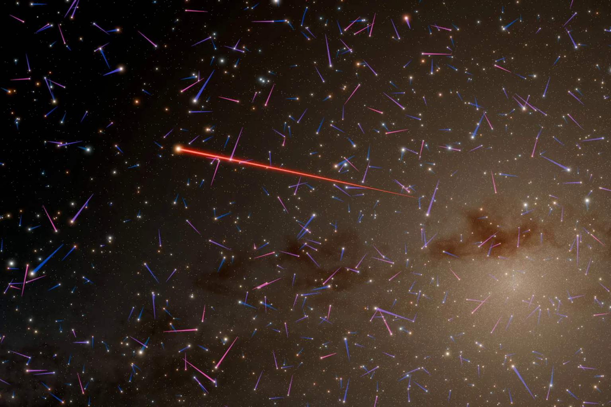 (источник: leravi.org)