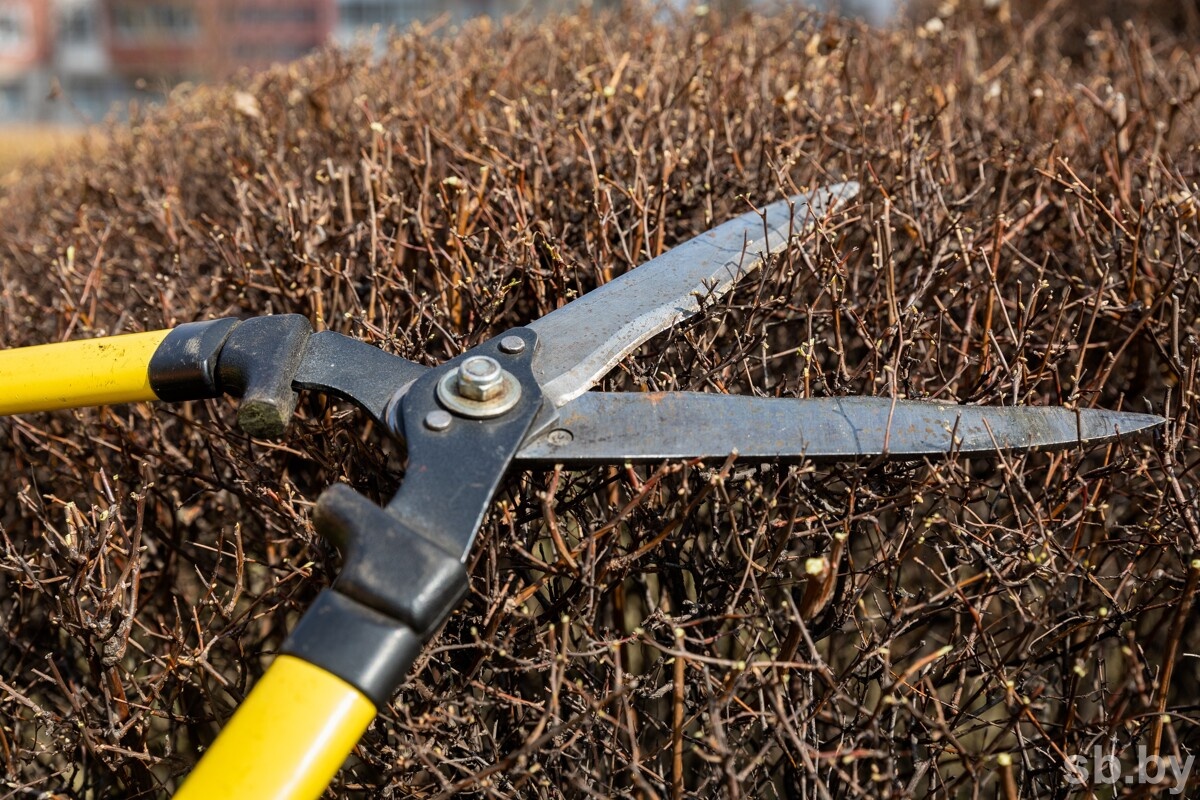 Иллюстративное фото из архива «СБ»