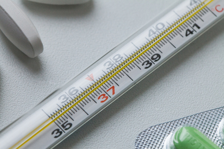    Фото: abn.agency