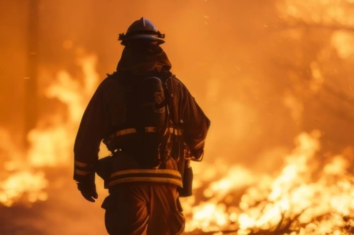    За прошедшие сутки в Рязанской области ликвидировано 5 возгораний