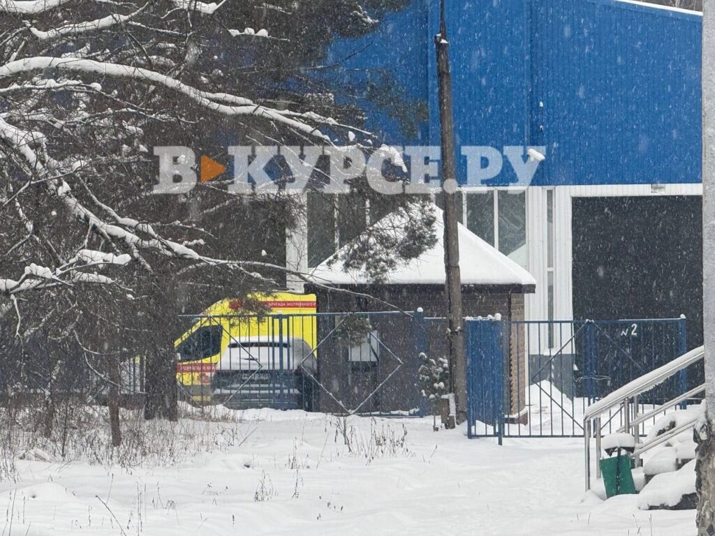    Фото: В курсе.ру Ульяна Бажанова