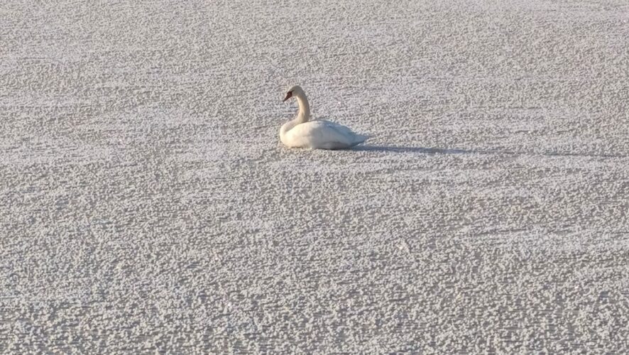    Фото: ojm.tatarstan.ru