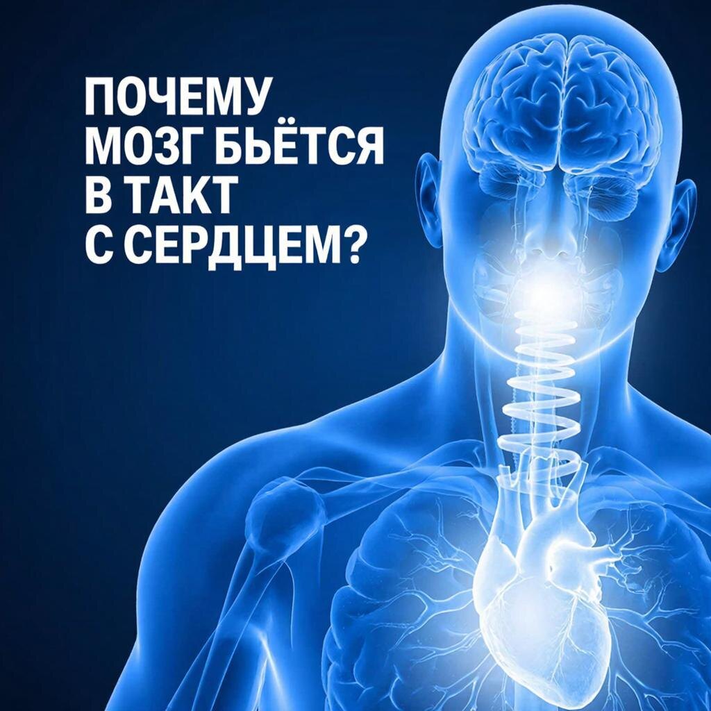 Ваше сердце задает ритм и внутри вас звучит музыка