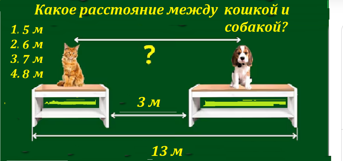 кошка и собака.png