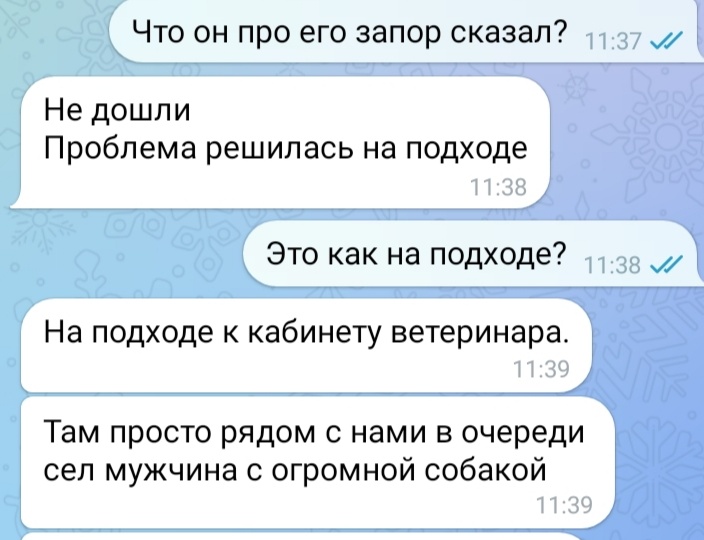 10 смешных переписок доказывающих, что коты – это центр вселенной