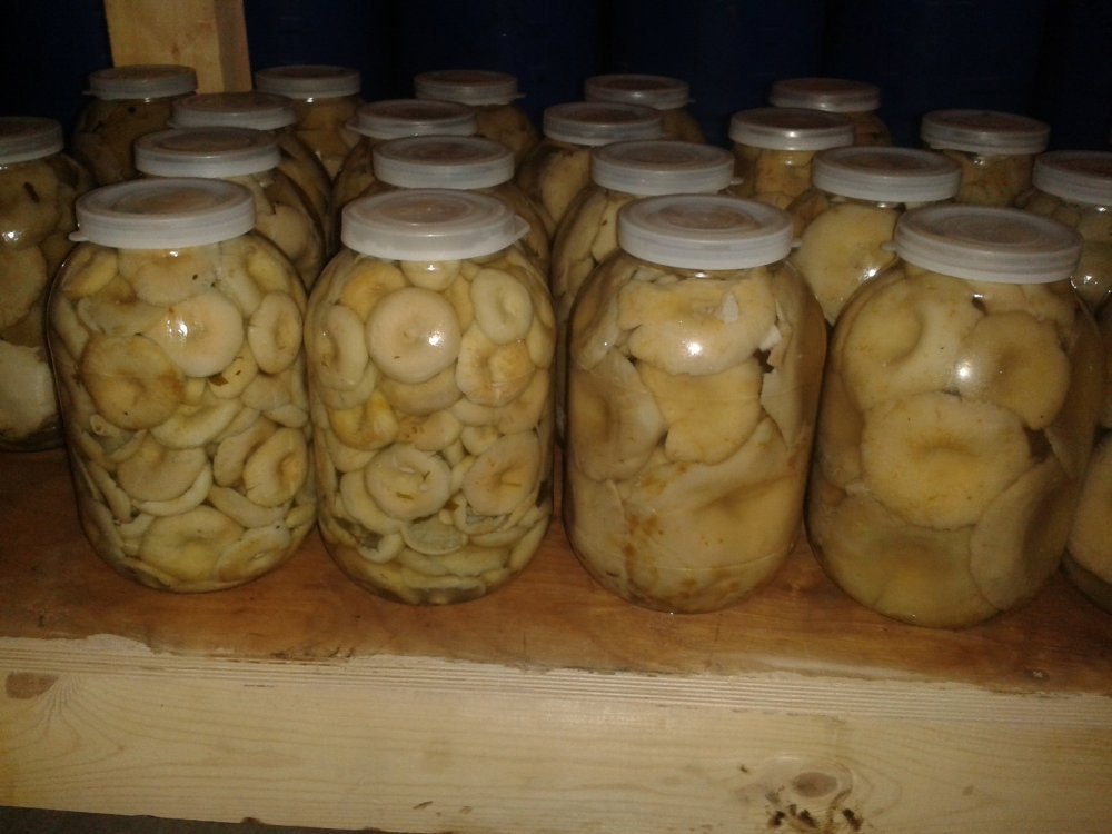 Изображение взято в свободном доступе сети Интернет 