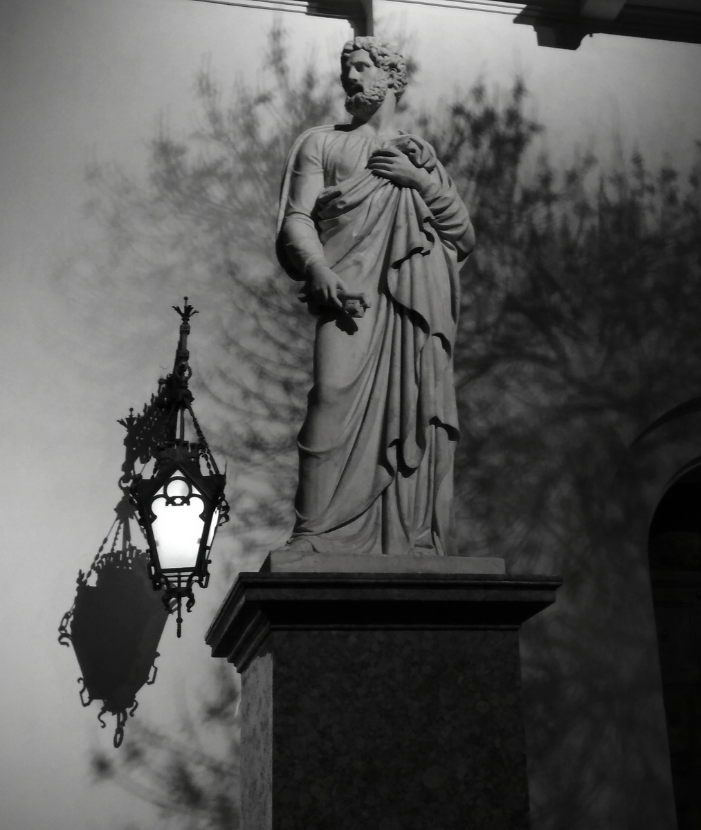 В ожидании тепла. Фото - авторское право #di_vito