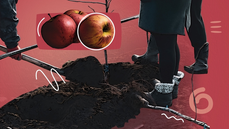      Фото: ИА «Победа26»