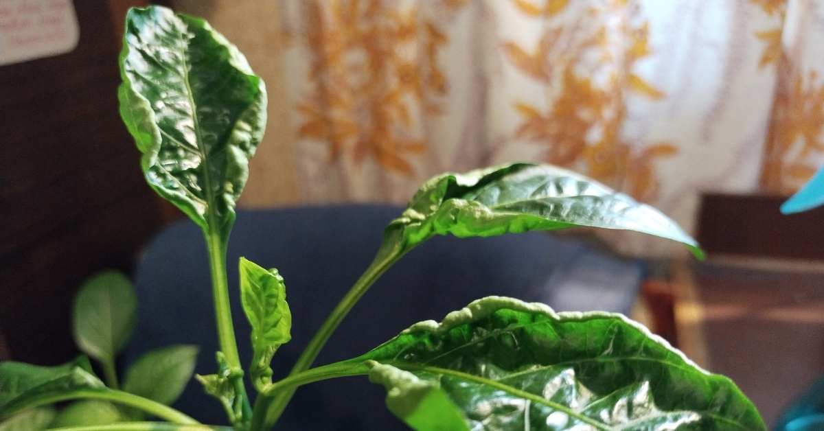 Деформация листов