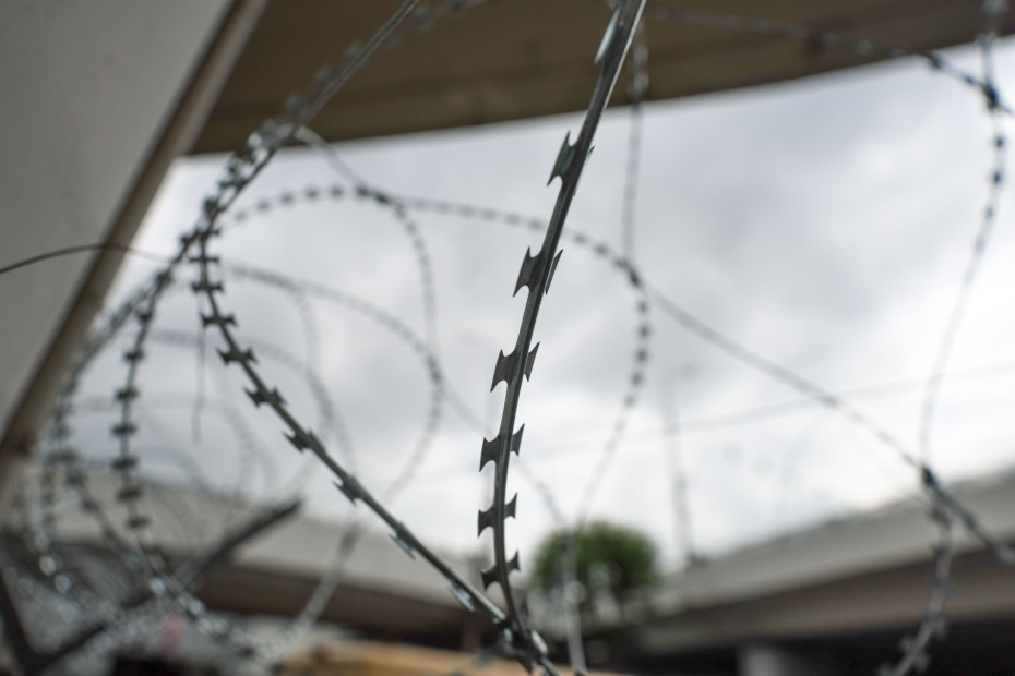    Алексей Белкин/NEWS.ru