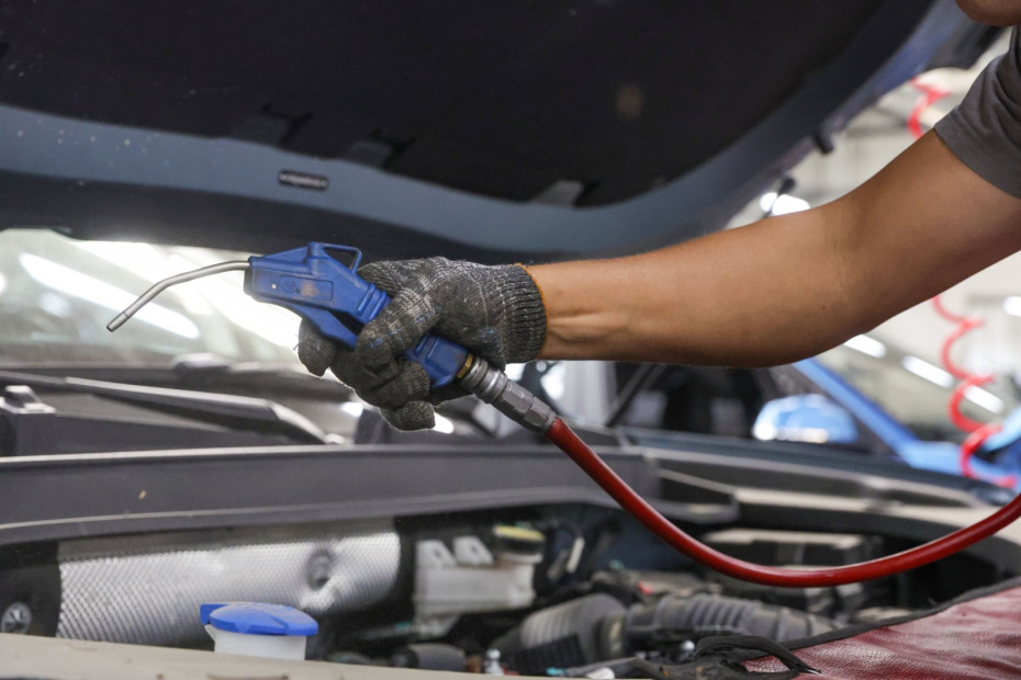    Наталья Шатохина/NEWS.ru