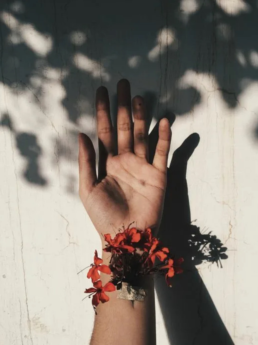 Фото из Интернета 