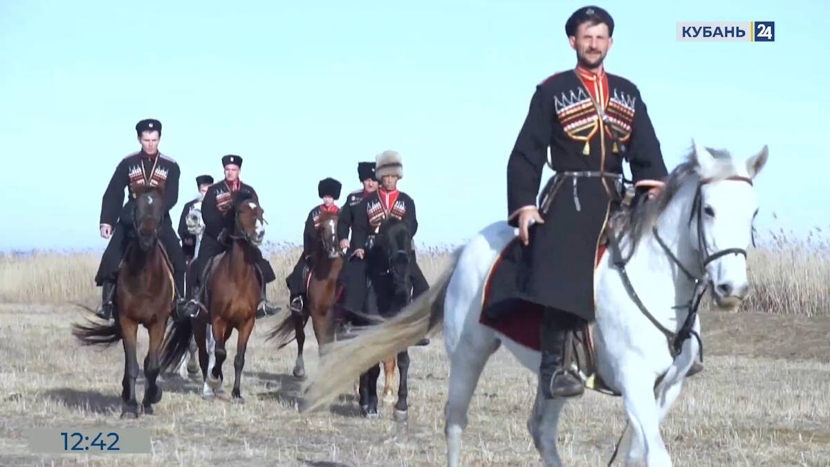    Скриншот видео телеканала «Кубань 24»