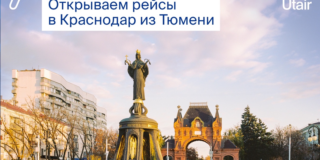 Пришла зима — значит пора лететь на Юг!