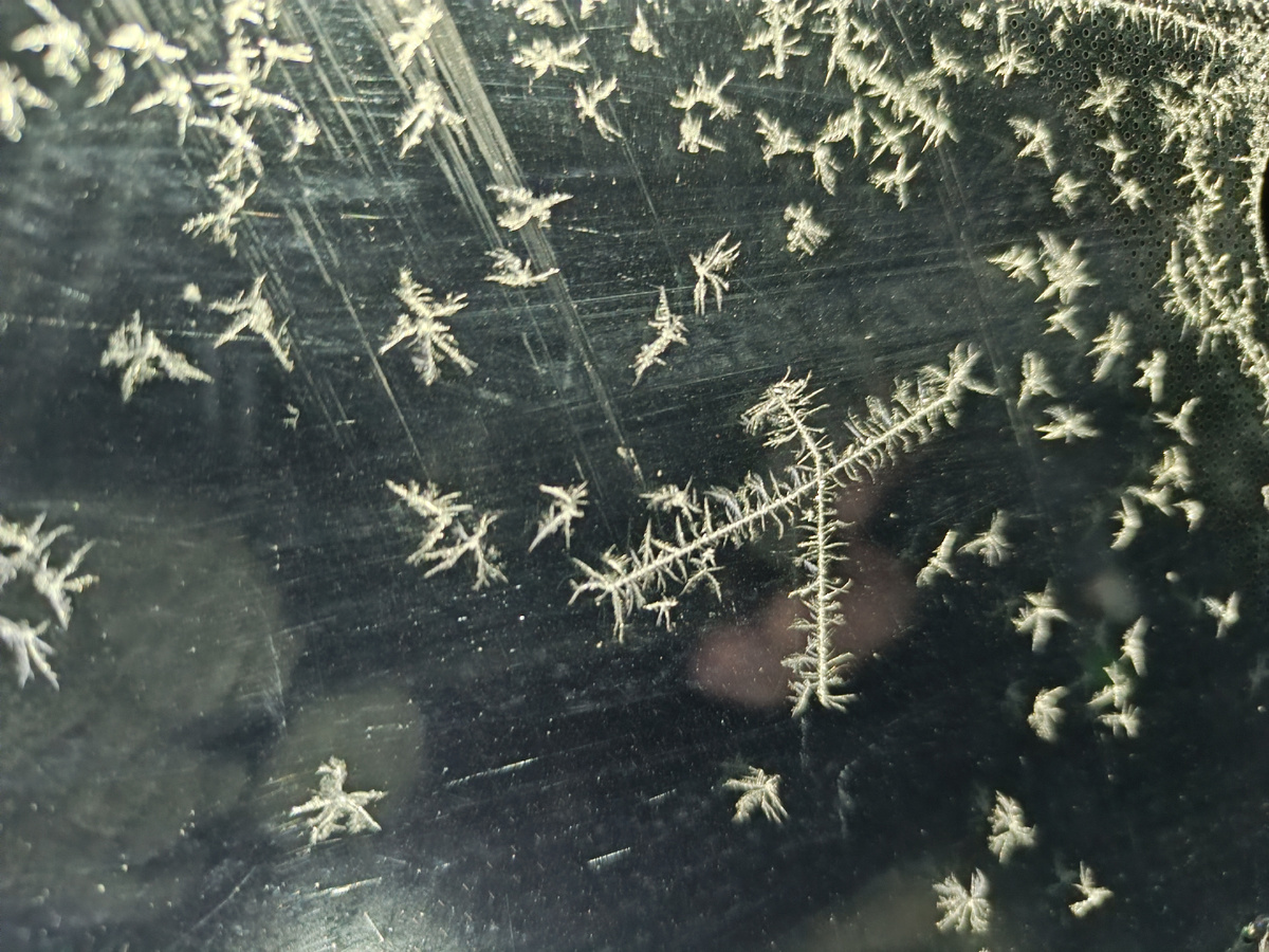 Снежинки в форме птичек на окне - Мороз рисует нам прекрасные узоры
