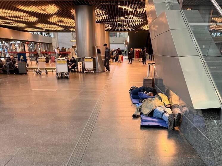 Фото: Титова Анна
