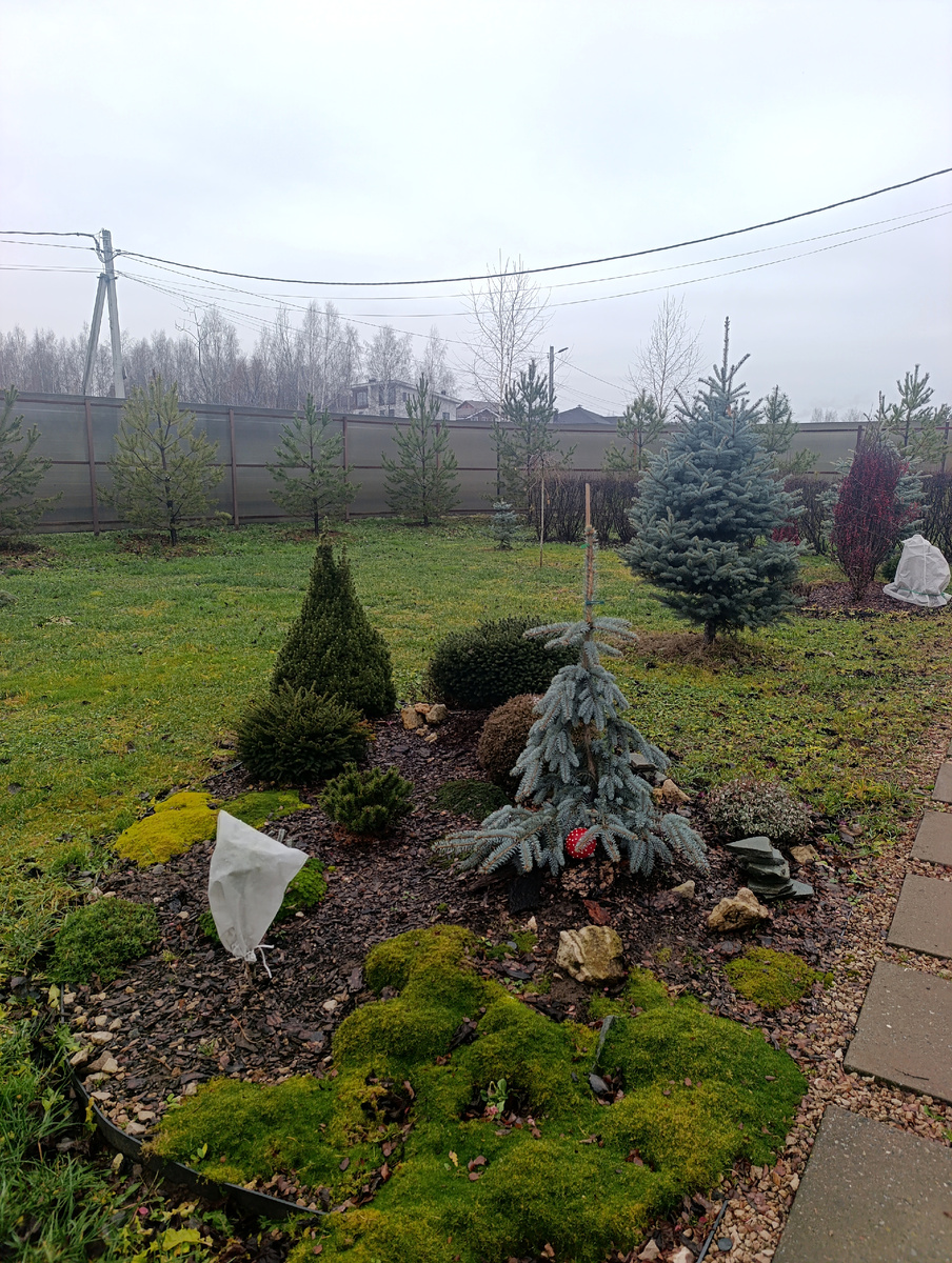 Все фото автора. Общий вид. Один из участков в коттеджном поселке в Нижнем Новгороде. 