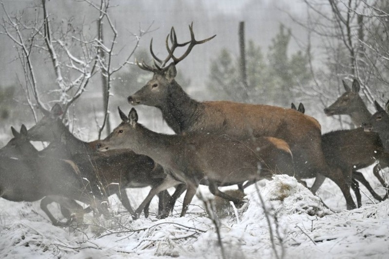 Фото: Павел Васильев