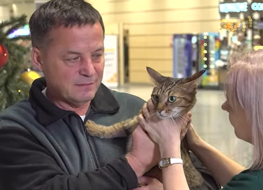 Кот Федос воссоединился с хозяевами. Скриншот видео телеканала "Россия 1"