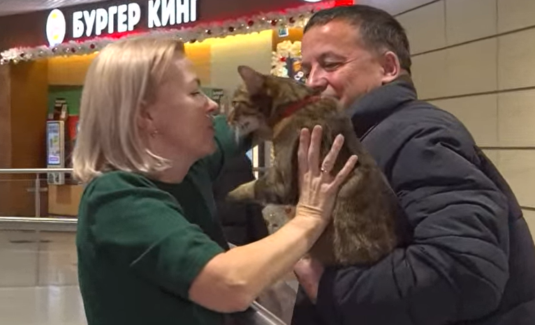 Эльвира встречала мужа с котом в аэропорту. Скриншот видео телеканала "Россия 1"