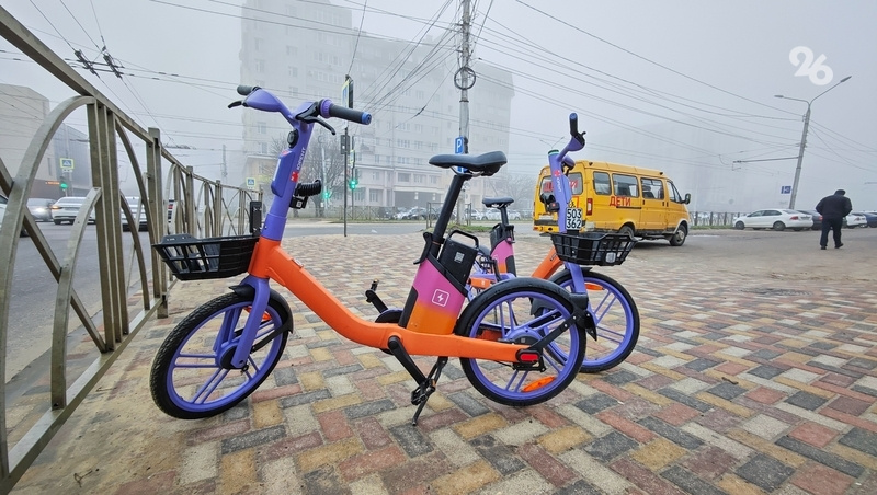      Фото: Дмитрий Ахмадуллин / / ИА «Победа26»