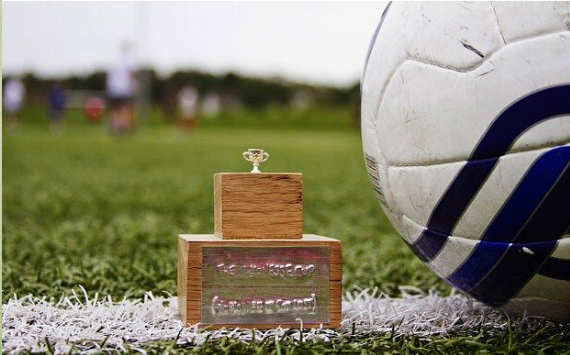 Вот такой кубок. Фото в интернетах