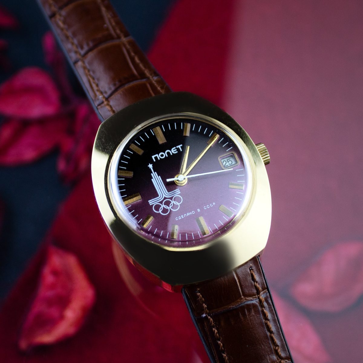 Полет «Олимпиада-1980»